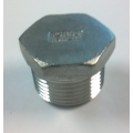 1" NPT Plug Stainless